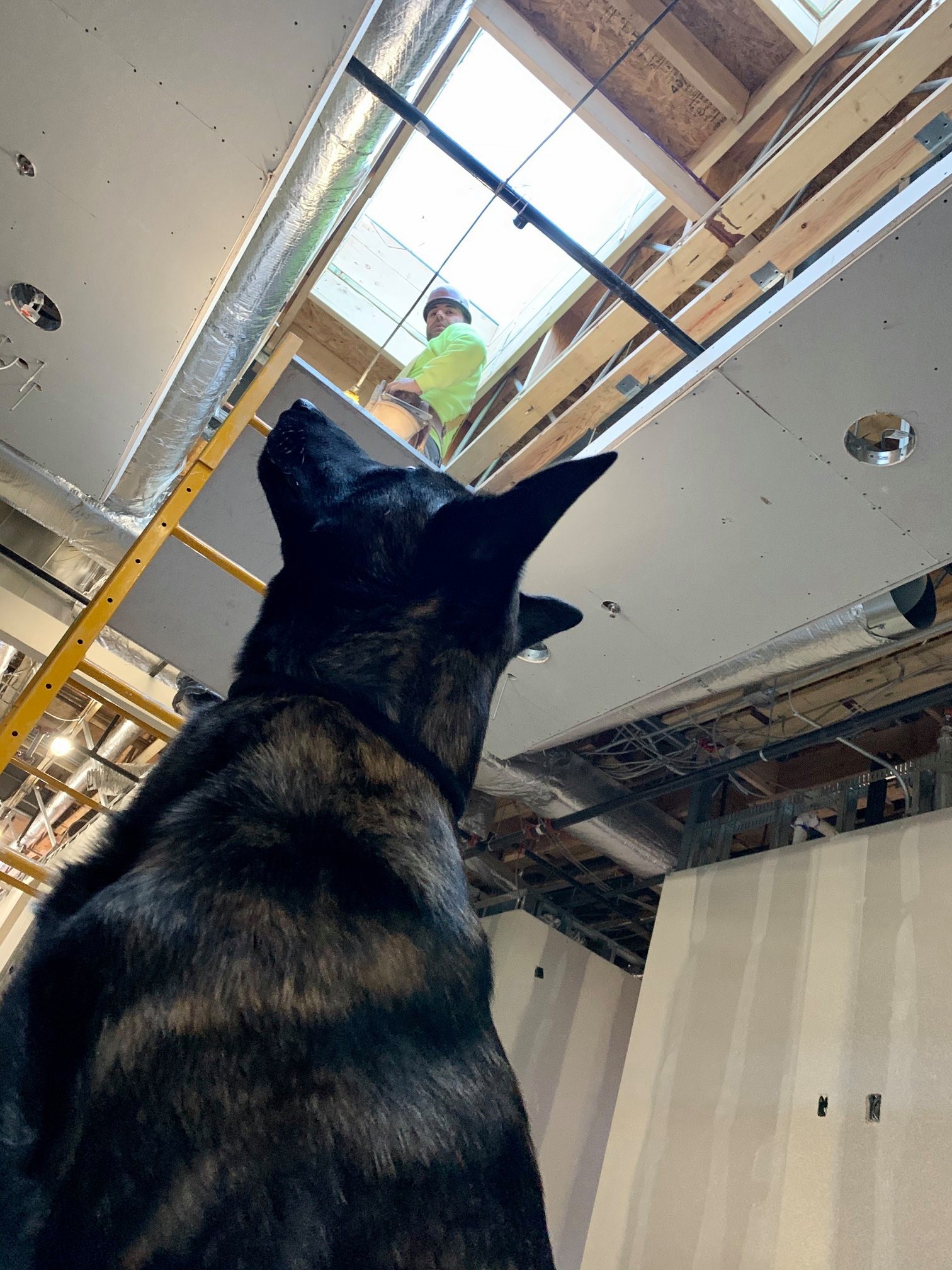New Location – Colorado Veterinary Specialty Group New Location – Colorado Veterinary Specialty Group