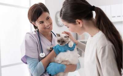 image for August is Immunization Awareness Month: Check Your Pet’s Immunization Record! 